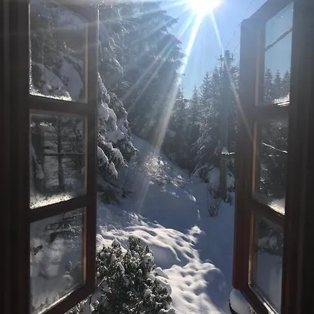 Chalet U Jezu *