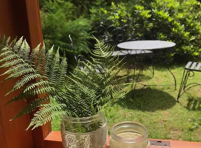 U Jezu Domek alpejski Tanvald