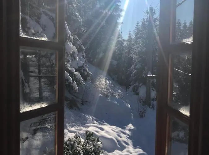 Domek alpejski U Jezu *